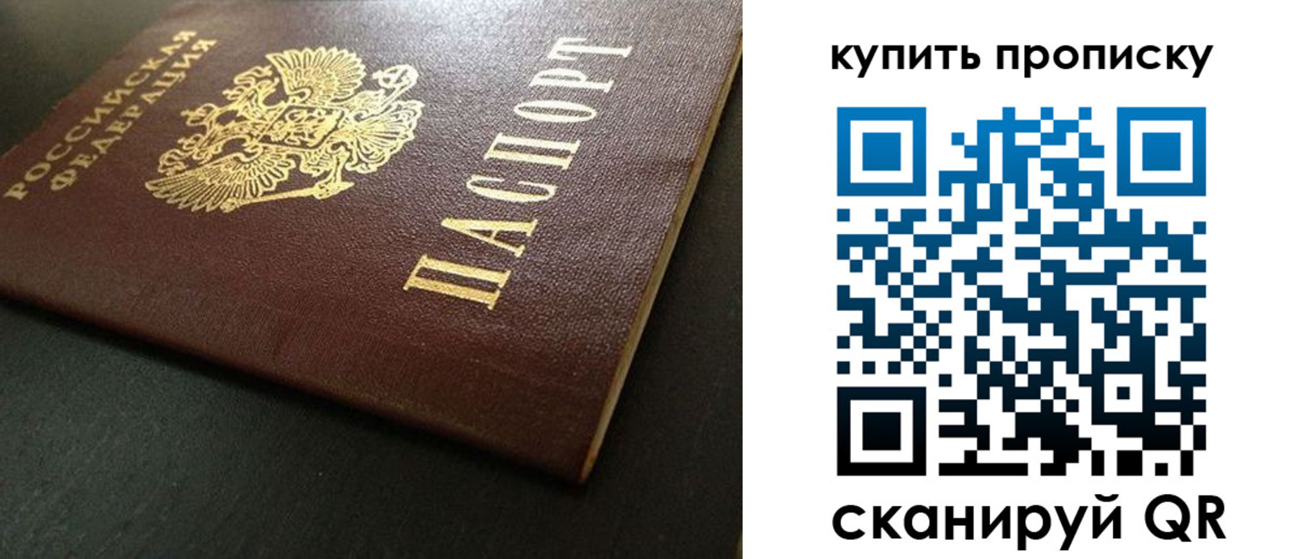 прописка законно в Волгоградской области